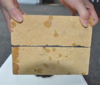 Nano-Powder Sealers