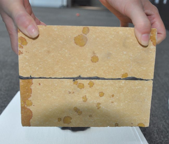 Nano-Powder Sealers